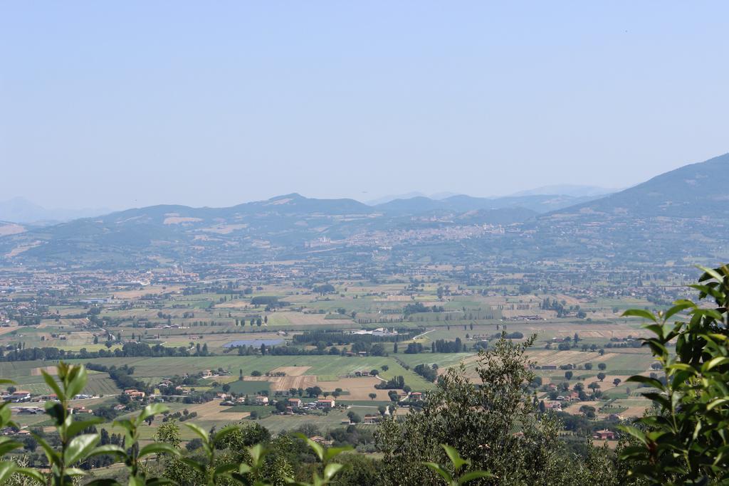 Societa Agricola F.Lli Angelucci Villa Cannara Екстериор снимка