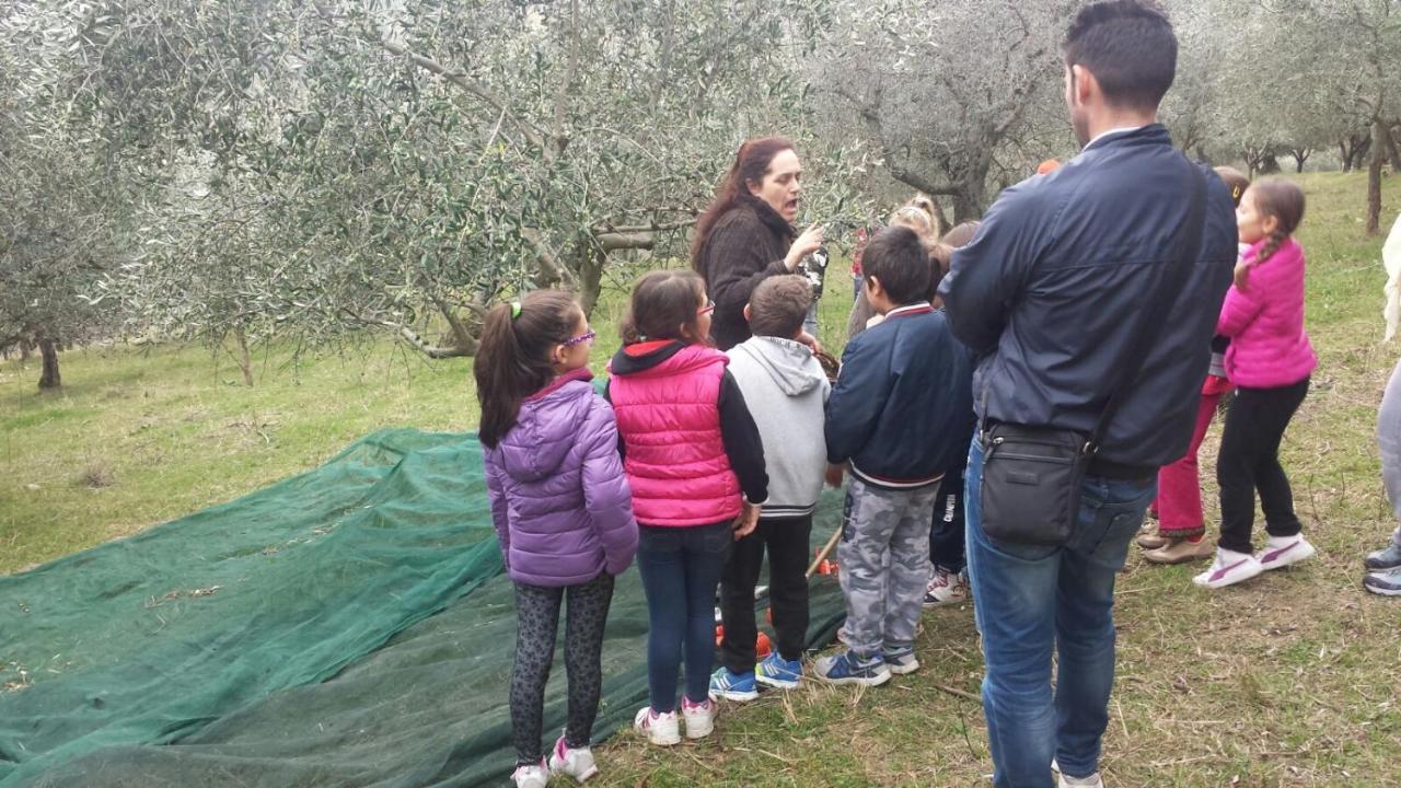 Societa Agricola F.Lli Angelucci Villa Cannara Екстериор снимка